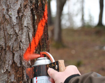 Formation des marteleurs- classification M.S.C.R.