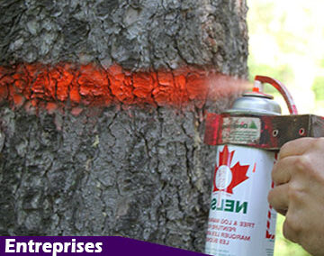 Formation des marteleurs- classification M.S.C.R.