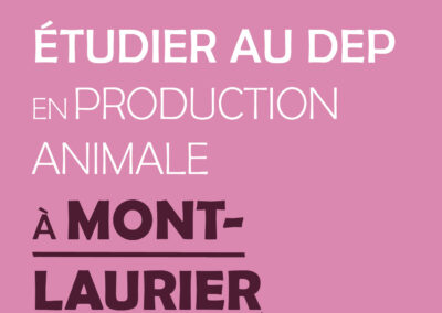 Production animale