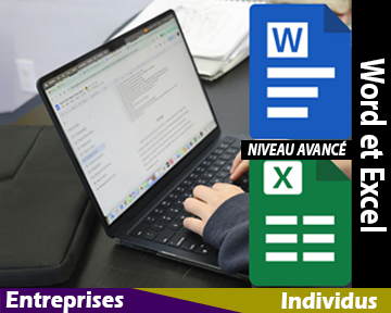 Word Excel